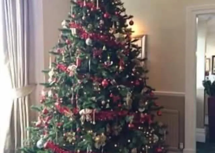 怀特兰洛奇酒店